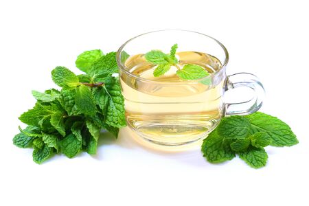 Cup of mint tea with green fresh mint leaves on white background.の写真素材