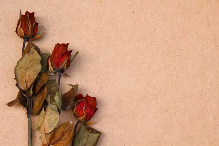 Three of dried roses on wooden brown background set for valentine theme.の写真素材