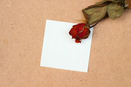Dried red rose and a paper on natural brown background.の写真素材