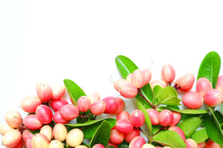 Organic fresh christ's torn or carunda fruits with green leaves on white background.の写真素材