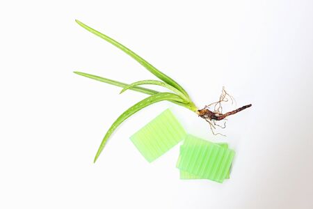 Fresh aloe vera plant with root and aloe vere glycerin handmade soaps on white background.の写真素材
