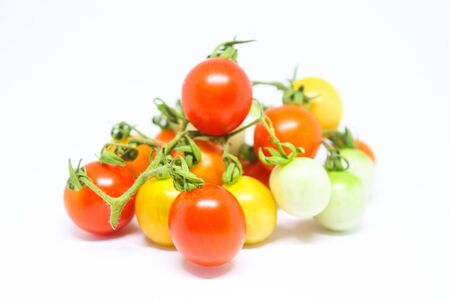 Closeup of raw and ripen wild tomatoes pile on white background.の写真素材