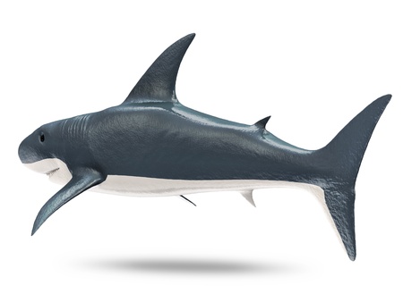 3d Shark isolated on white backgroundの写真素材