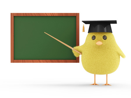Little Chicken Teacher near Blank Chalkboard isolated on white backgroundの写真素材
