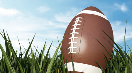 Close-up of Rugby Ball Standing on Green Grass