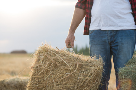 Farmer working in fieldの写真素材