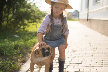 Girl and dog playing during autumn gardening in yardの写真素材