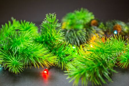 fir branches with christmas multi-colored garland on a black backgroundの写真素材