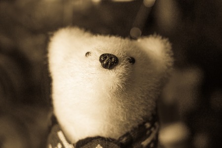 White polar bear toy alone on blur retro backgroundの写真素材
