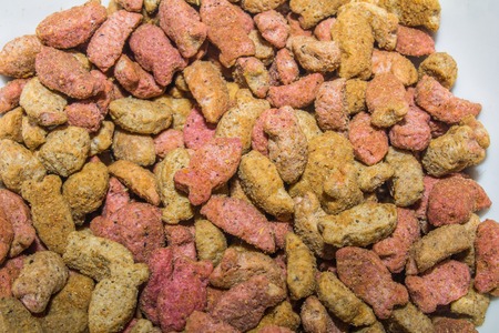 Cats dry food, fish shapes on white backgroundの写真素材