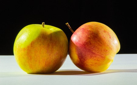 Red and green apple fruit on a white black backgroundの写真素材