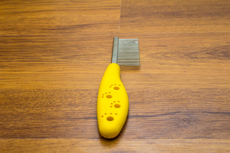 Hair Combs on wooden backgroundの写真素材