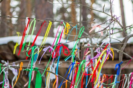 tree of wishes, a lot of multi-colored ribbons tied on the branchesの写真素材
