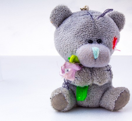 Teddy bear on a white backgroundの写真素材