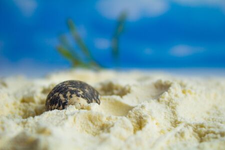 Sandy beach with blur sea on backgroundの写真素材