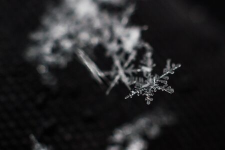 Snowflakes close-upの写真素材