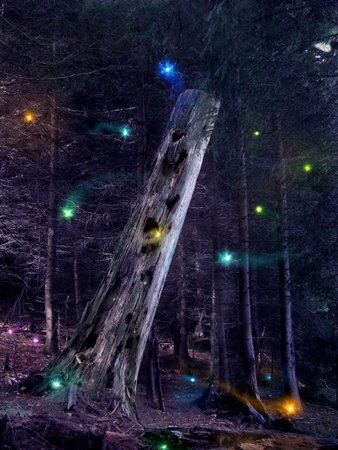Fairies flying around the mysterious tree trunkの写真素材