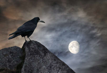 Raven sits on a stone against dramatic night sky with crescent Moonの写真素材