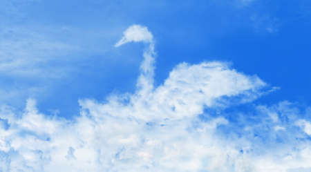 Illustration of the white cloud in the shape of swan - conceptual image for peace, freedom etc.の写真素材
