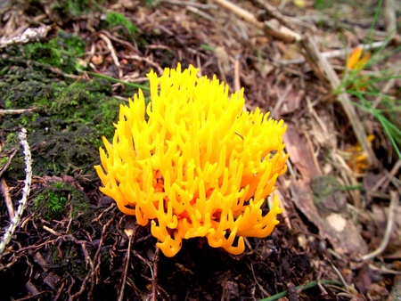 Ceske Svycarsko, Czech Republicの写真素材