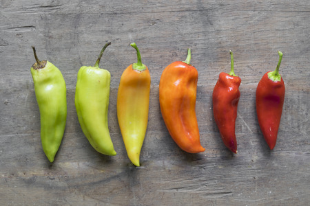 Graduation of pepper's color, from green to red. の写真素材