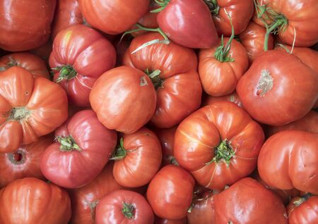 A group of fresh red tomatoes, full frame.の写真素材