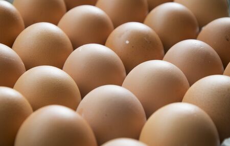 Eggs in cardboard, full frame .の写真素材