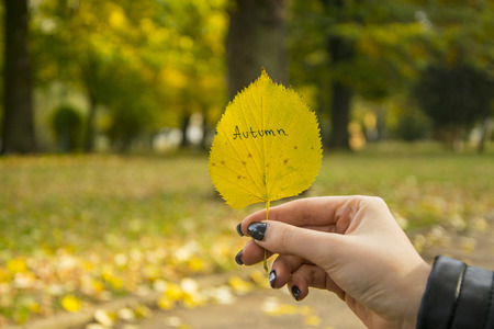 Girl holding yellow leaf with autumn sign writen on it.