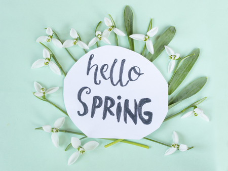 Hello spring calligraphy note decorated with snowdrops on light green background.の写真素材