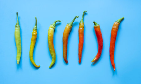 Color gradient of hot peppers , from green to red.の写真素材