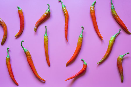 Pattern of red hot peppers on pink backgroundの写真素材