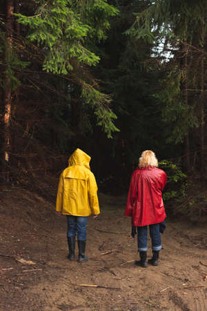 Middle age couple in red and yellow raincoats walking through evergreen  forestの写真素材