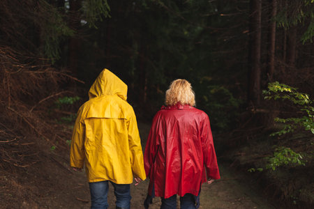 Middle age couple in red and yellow raincoats walking through evergreen  forestの写真素材