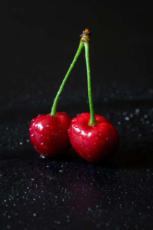 Close up photo of pair of fresh red cherries with water drops on black background.