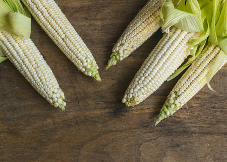 Fresh white corn cobs on old wooden background with place for text. High angle view.
