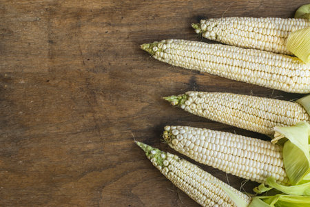 Fresh white corn cobs on old wooden background with place for text. High angle view.