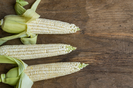 Fresh white corn cobs on old wooden background with place for text. High angle view.
