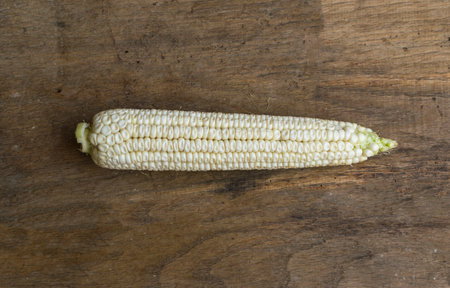 Single fresh and white corn on wooden background. High angle viewの写真素材