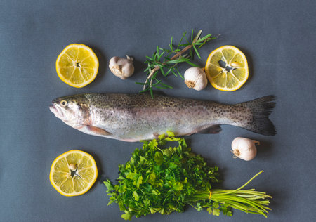Fresh trout on dark table with parsley , garlic and rosemary. Tasty fish prepare for eating. Top angle viewの写真素材