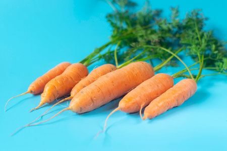 Fresh, organic carrots on light blue background.の写真素材