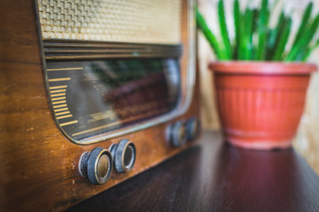 Close up on old vintage radio on hardwood and cactus in flower pot. Selective focusの写真素材