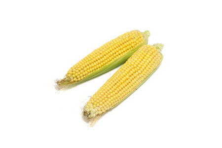 Fresh corns isolated on white background.の写真素材