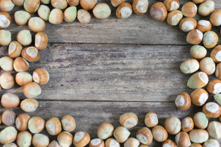 Frame from hazelnuts, with copy space inside.の写真素材