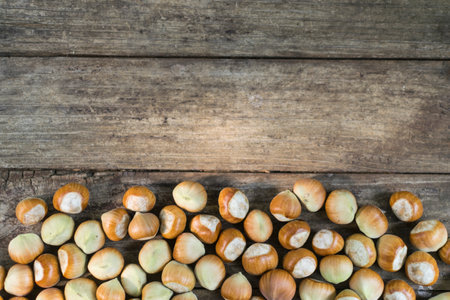 Fresh hazelnuts on wooden table with copy space.の写真素材