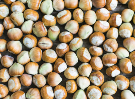 Hazelnuts, freshly picked. Full frame photo.の写真素材