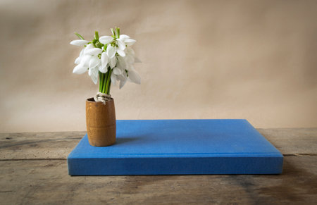Bouquet of snowdrops and old blue book on wooden table .の写真素材