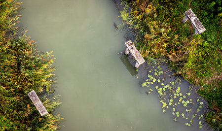 River in the park with old wooden bridge and green grass.の写真素材