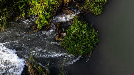 Water flowing in a small river in the forest. Nature background.