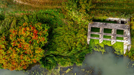 Aerial view of a small pond in a park with a wooden bench.の写真素材