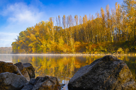 Autumn landscape on the river bank in the morning. Colorful trees on the shore